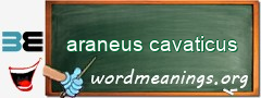 WordMeaning blackboard for araneus cavaticus